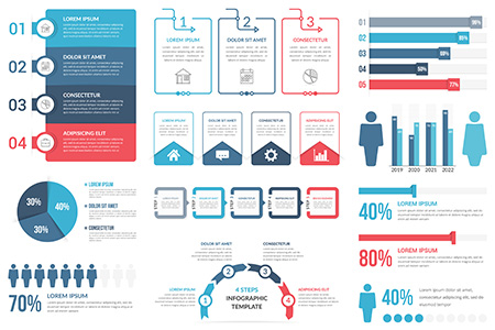 Infographic Example Template with Graphs and Percentages